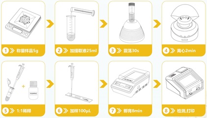 轉(zhuǎn)基因快速檢測 守護糧食安全的新興科技