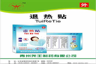退熱貼招商代理、品牌與生產(chǎn)廠家查詢及廣告設(shè)計(jì)全攻略